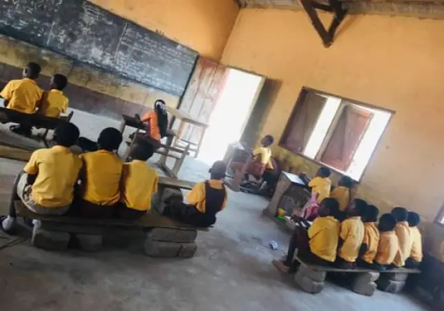 Bats takeover Nyapienya District Assembly Primary School - Near closure*