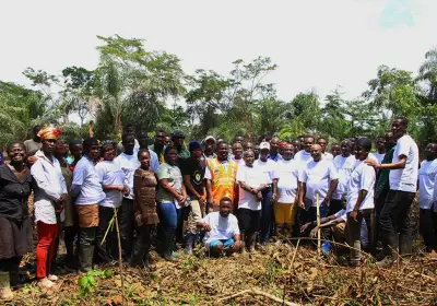 3T COMPANY LIMITED GHANA PLANTED 20